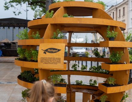 Zdjęcie, wysadzonej ziołami, instalacji Zielona Kula oraz dziewczynki, która do niej idzie.