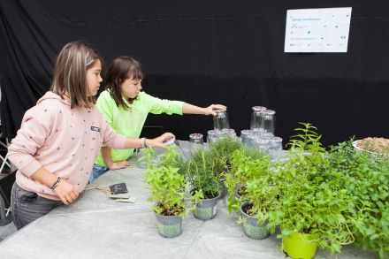 Dziewczynki wybierają słoje, w których przygotują stroik.