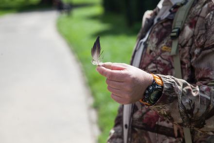 Dłoń mężczyzny w kurtce moro, który  trzyma ptasie pióro.