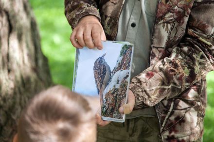 Przewodnik pokazuje chłopcu zdjęcie ptaka.