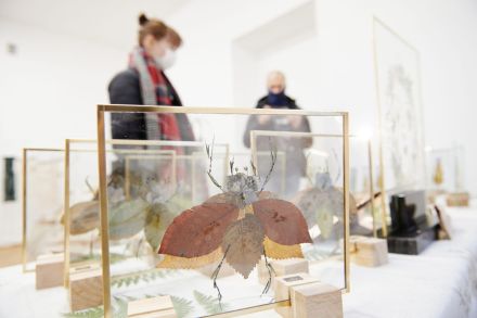 Stoisko z owadami z liści na szkle.