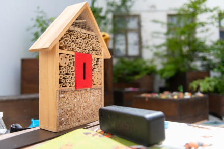 Na stoliku stoi gotowy domek dla pszczół.