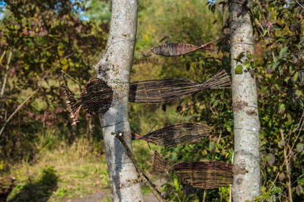 Między dwoma drzewami zawieszone są wiklinowe ryby.