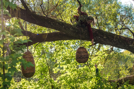 Na drzewie wiszą dwa ule z wikliny. Na gałęzi siedzi kobieta i próbuje je dotknąć.