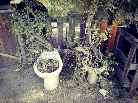 Sylwia Stelmaszczuk - Walencja, 2019 | ESP