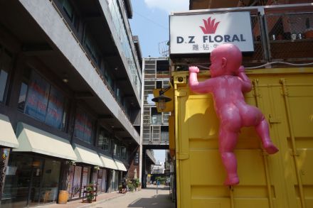 Różowy duży bobas w negliżu wspina się na żółty kontener, który jest otoczony budynkami.  Nad nim widnieje  biały szyld z napisem ,,D.Z. FLORAL".