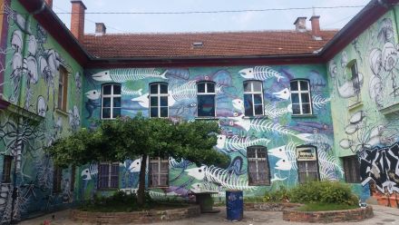 Budynki tworzące patio, pokryte są muralem przedstawiającym meduzy, kalmary,  wieloryba oraz szkielety ryb.  Wszystko jest w kolorach zieleni, bieli i fioletu. 