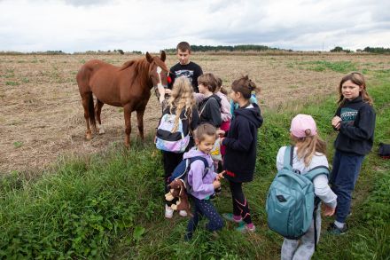 Grupa dzieci stoi na polu i głaszcze konia.