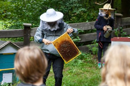 Pszczelarz pokazuje dzieciom ramkę z ula.