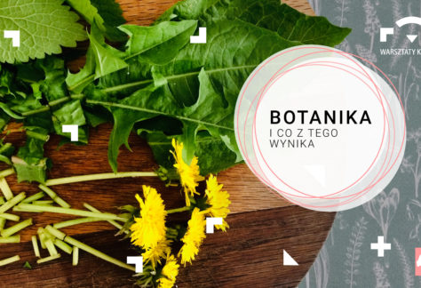 Grafika z mleczami na stole i napisem: Botanika i co z tego wynika.