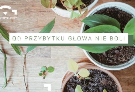 Na zdjęciu widok z góry 3 roślin w doniczkach stojących na stole. W lewym górnym rogu logotyp "Warsztaty Kultury". Na środku napis "Od przybytku głowa nie boli"