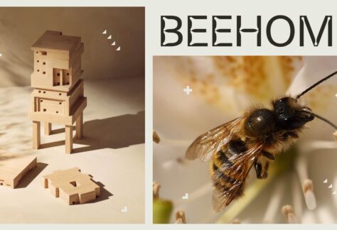 Grafika składająca się z dwóch zdjęć - na jednym z nich widoczna jest pszczoła, na drugim - drewniany domek dla owadów zapylających oraz elementy do budowy takiego domku. Na grafice napis: BEEHOME.