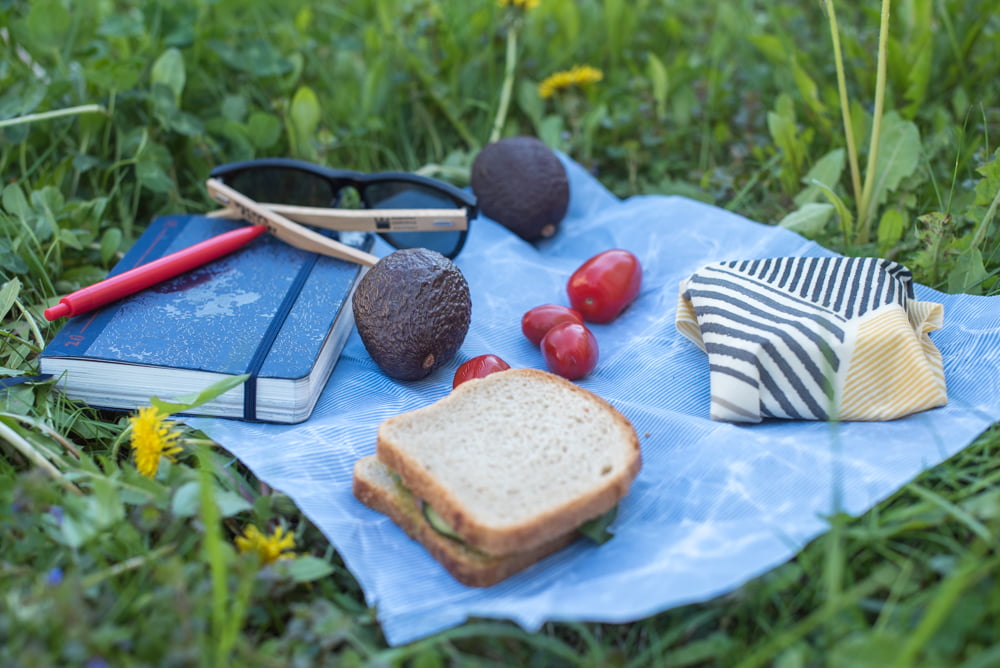 piknik.na trawie rozłożony niebieski materiał. na nim leży notes, długopis i okulary przeciwsłoneczne. awokado, kanapka i pomidorki koktajlowe