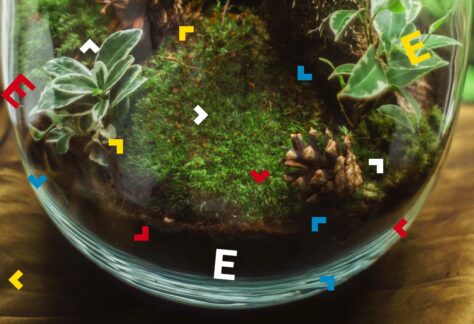 Szklane naczynie, w którym znajduje się las w słoiku. Są w nim zielone rośliny, mech oraz szyszki.