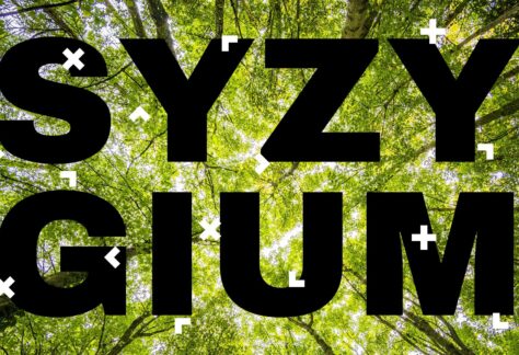 Na zielonym tle napis Syzygium.