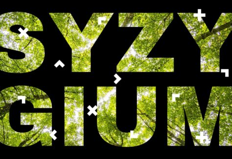 Na czarnym tle zielony napis "Syzygium".