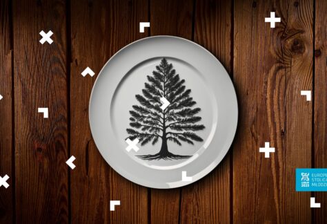 Na drewnianym blacie stoi talerz z obrazkiem choinki.