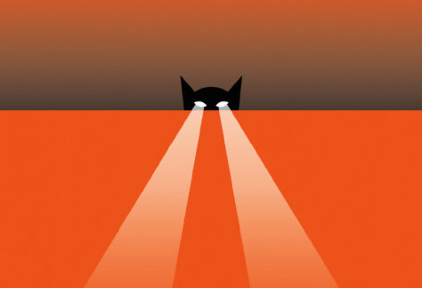 Grafika z kotem, któremu świecą oczy jak latarka.