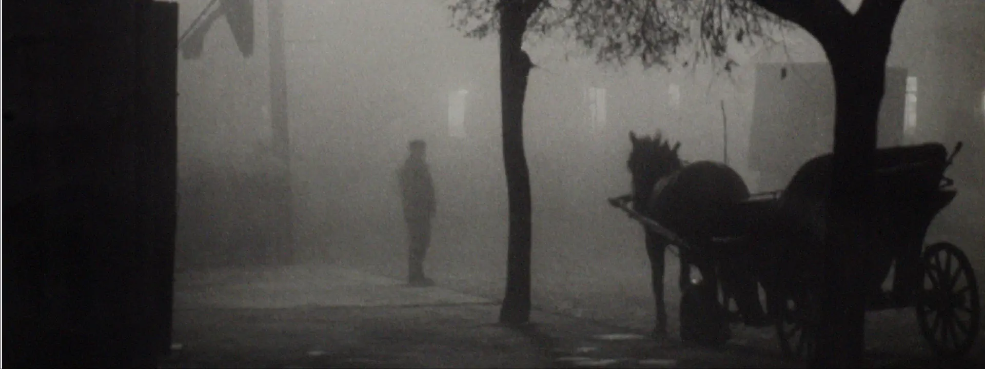 Czarno-biała fotografia z dorożką. W tle sylwetka mężczyzny.