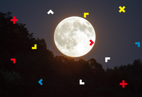 Księżyc w pełni nad lasem.