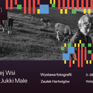 Zdjęcie chłopca, który pasie krowy. Napis: Wystawa fotografii Dzieci średniej wsi w obiektywie Jukki Male.