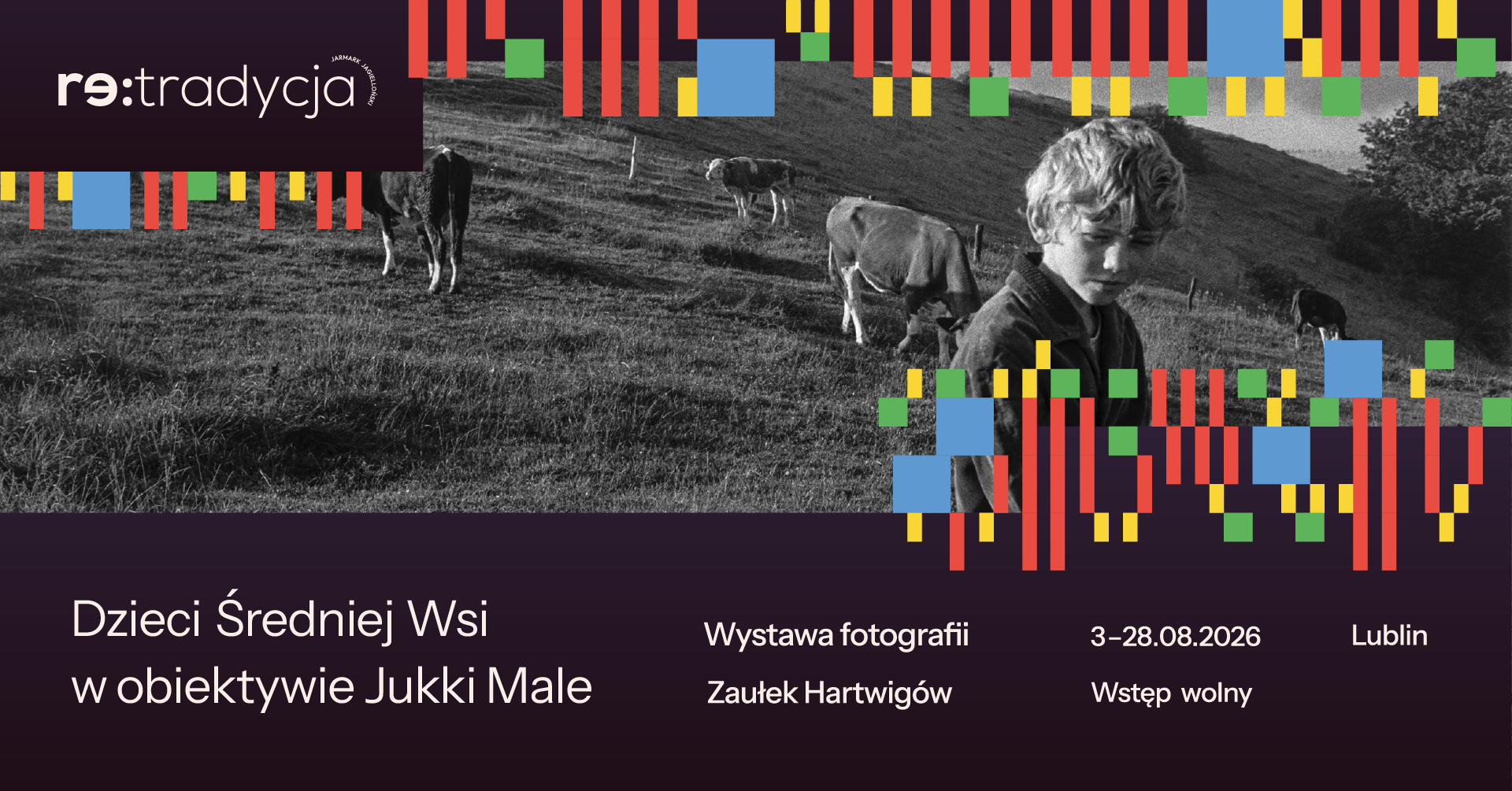 Zdjęcie chłopca, który pasie krowy. Napis: Wystawa fotografii Dzieci średniej wsi w obiektywie Jukki Male.