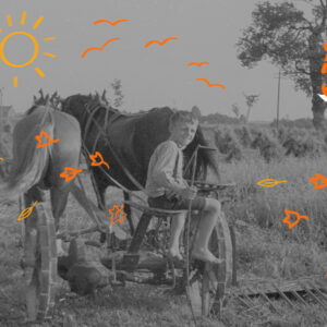 Chłopiec siedzi na wozie, który ciągną konie.